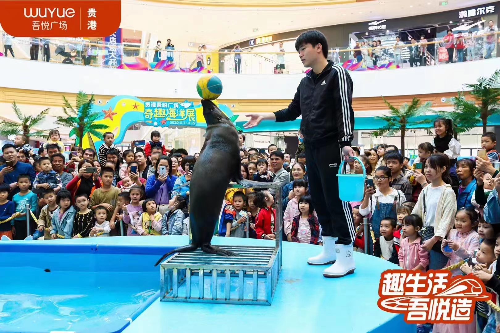 海狮表演租赁 地产商场暖场活动
