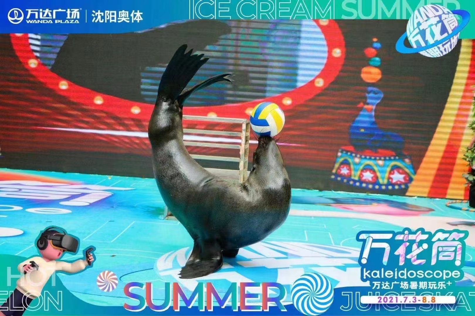 海狮表演租赁 地产商场暖场活动