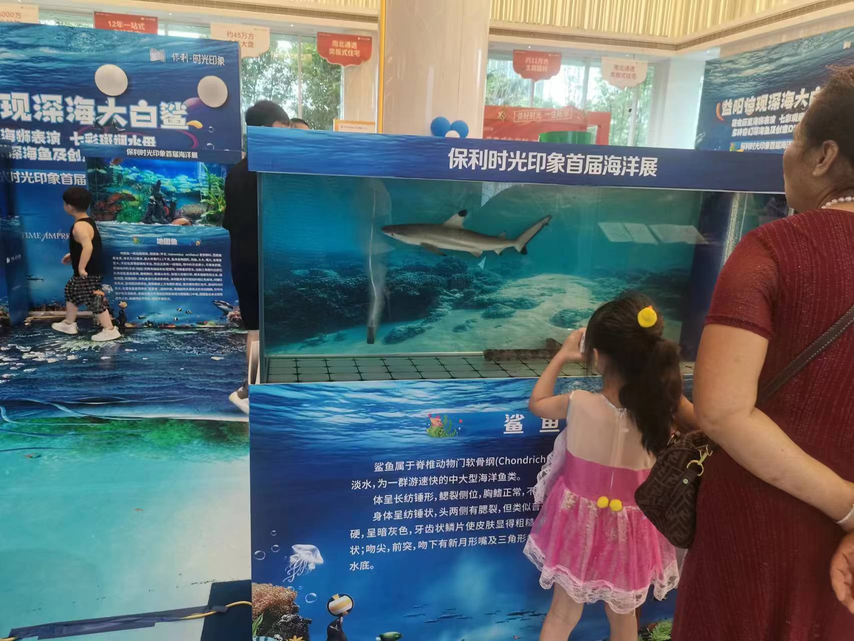 海洋生物展租赁