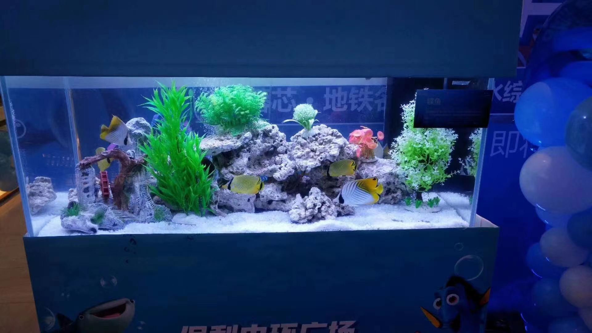 海洋生物展租赁