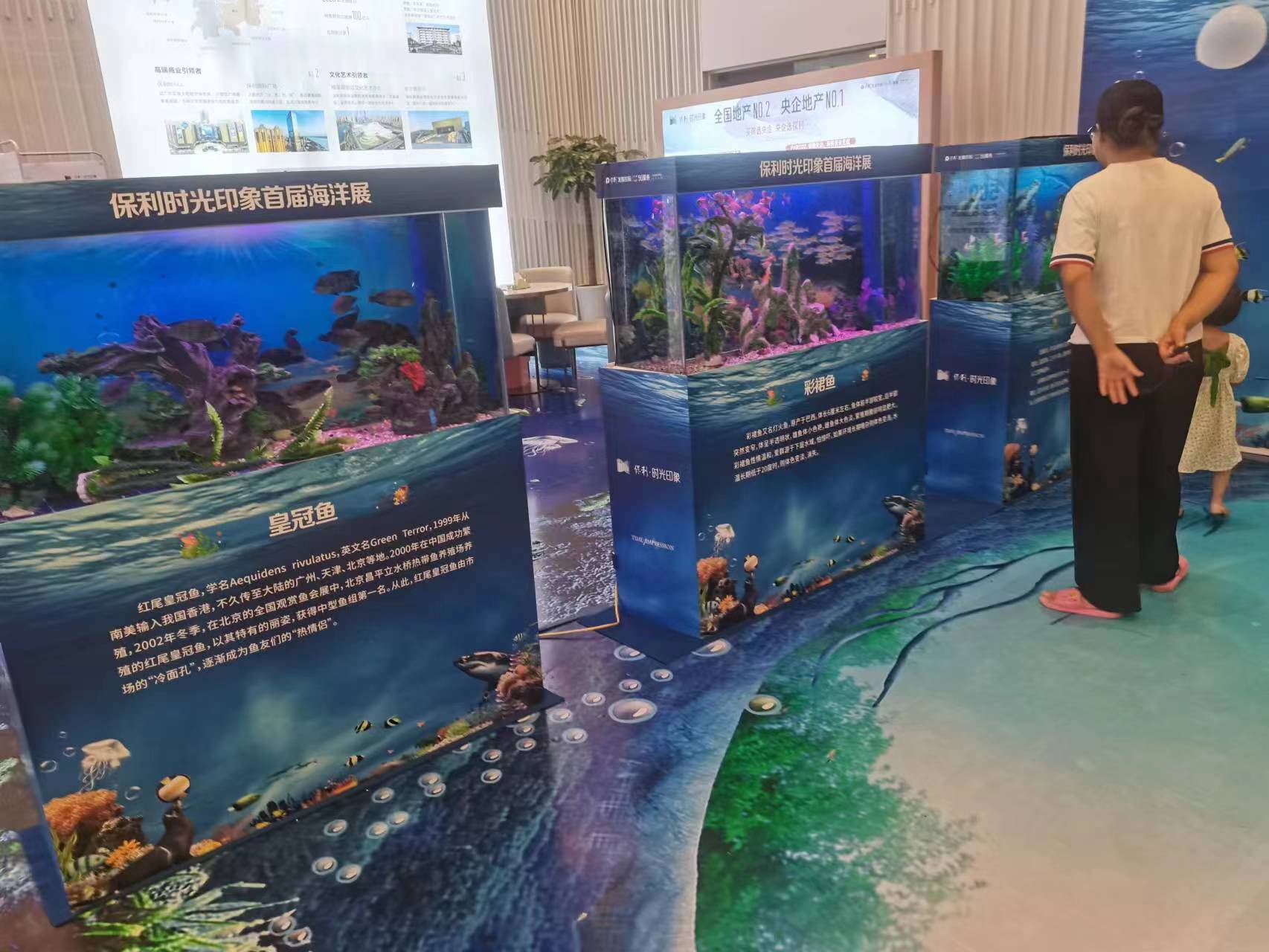 海洋生物展租赁