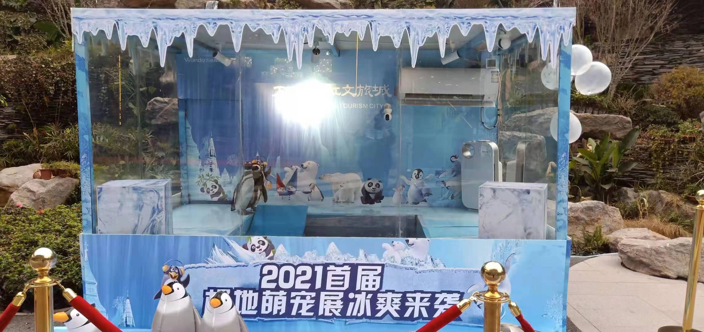 企鹅出租 暖场互动