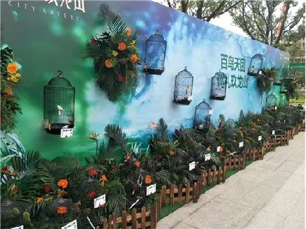 鹦鹉表演租赁 地产商场暖场活动