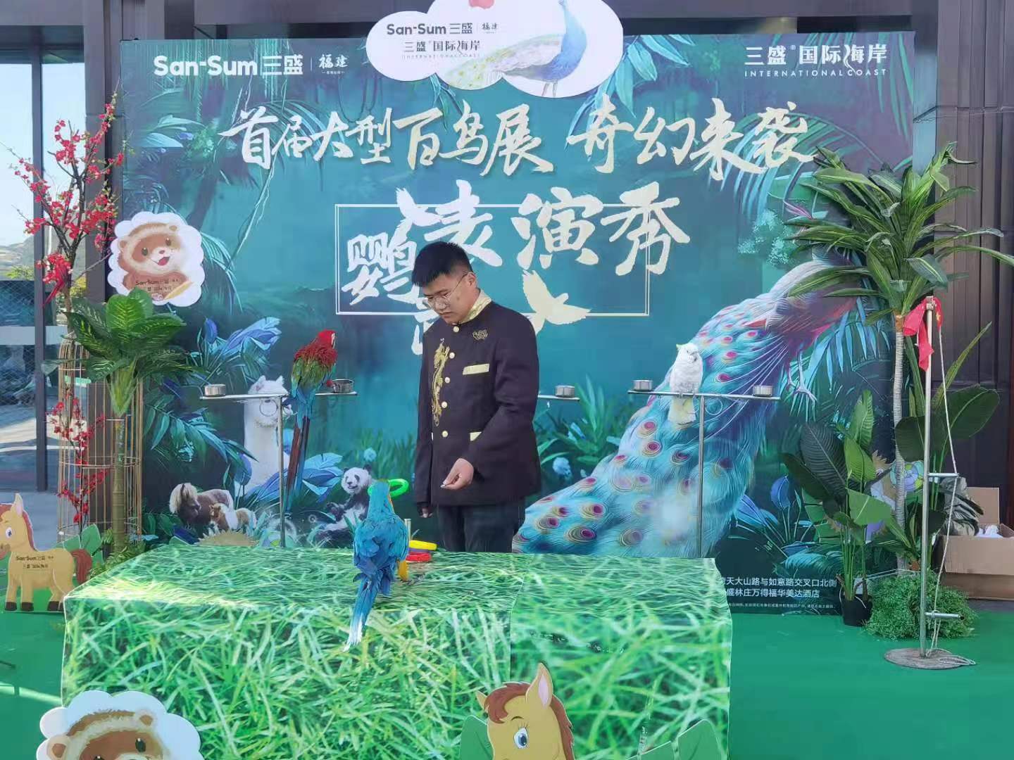鹦鹉表演租赁 地产商场暖场活动
