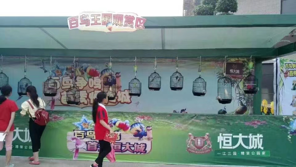 百鸟展出租