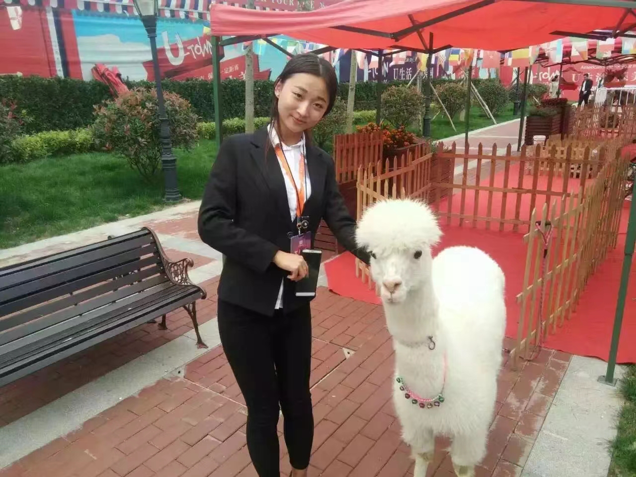 动物租赁出租