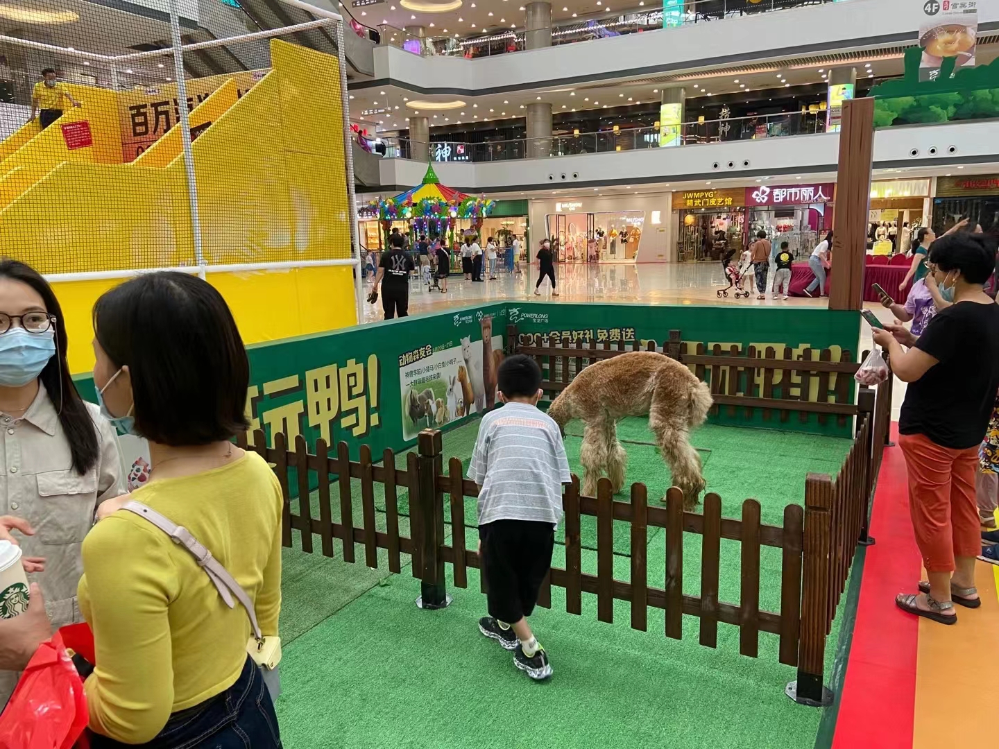 动物租赁出租