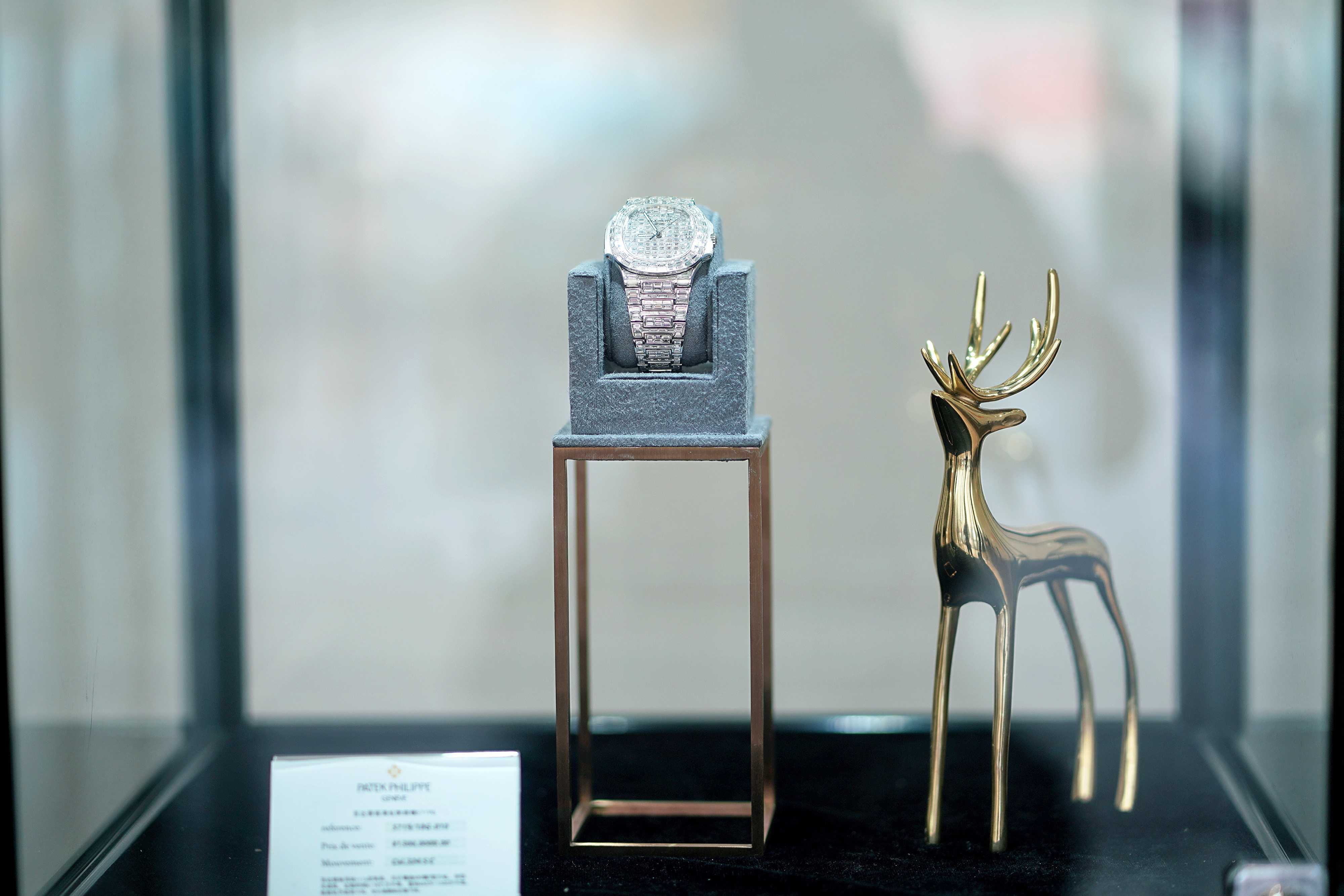 国际知名奢侈品品牌百达翡丽名表展