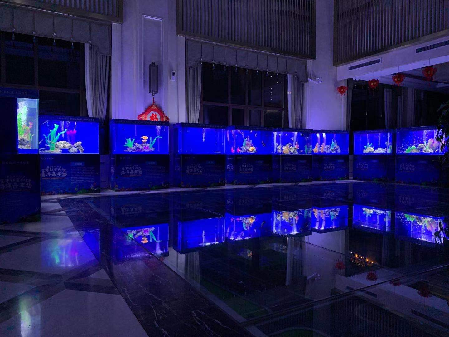海洋主题展 海洋生物鱼缸展示 海洋展