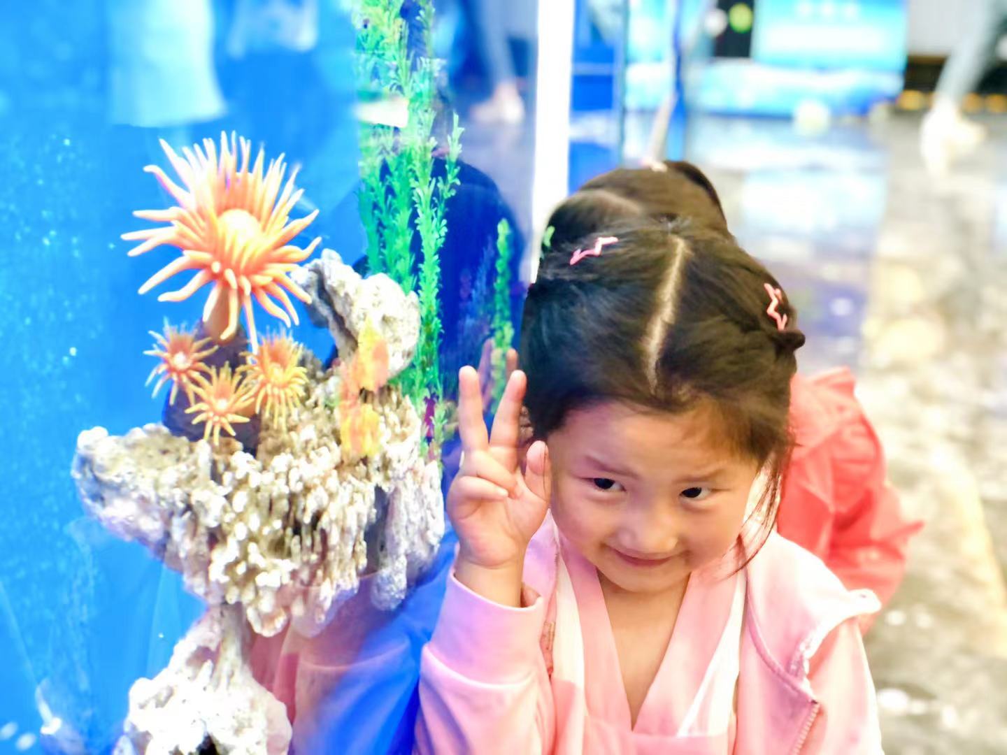 海洋主题展 海洋生物鱼缸展示 海洋展