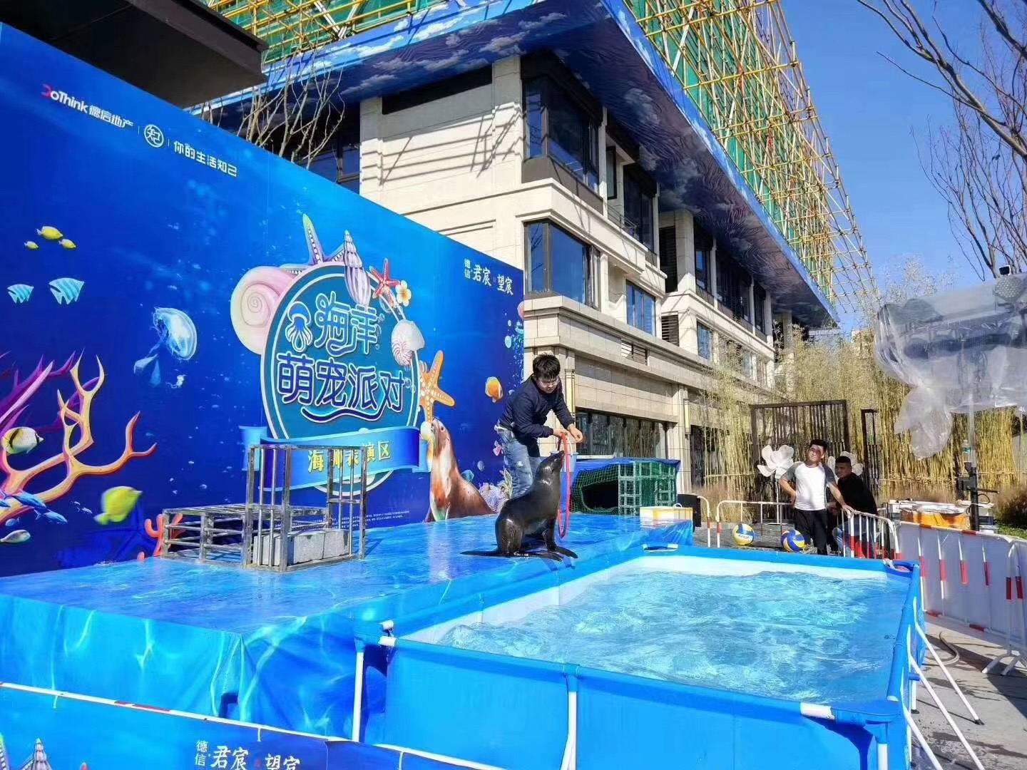 海狮表演 证件齐全