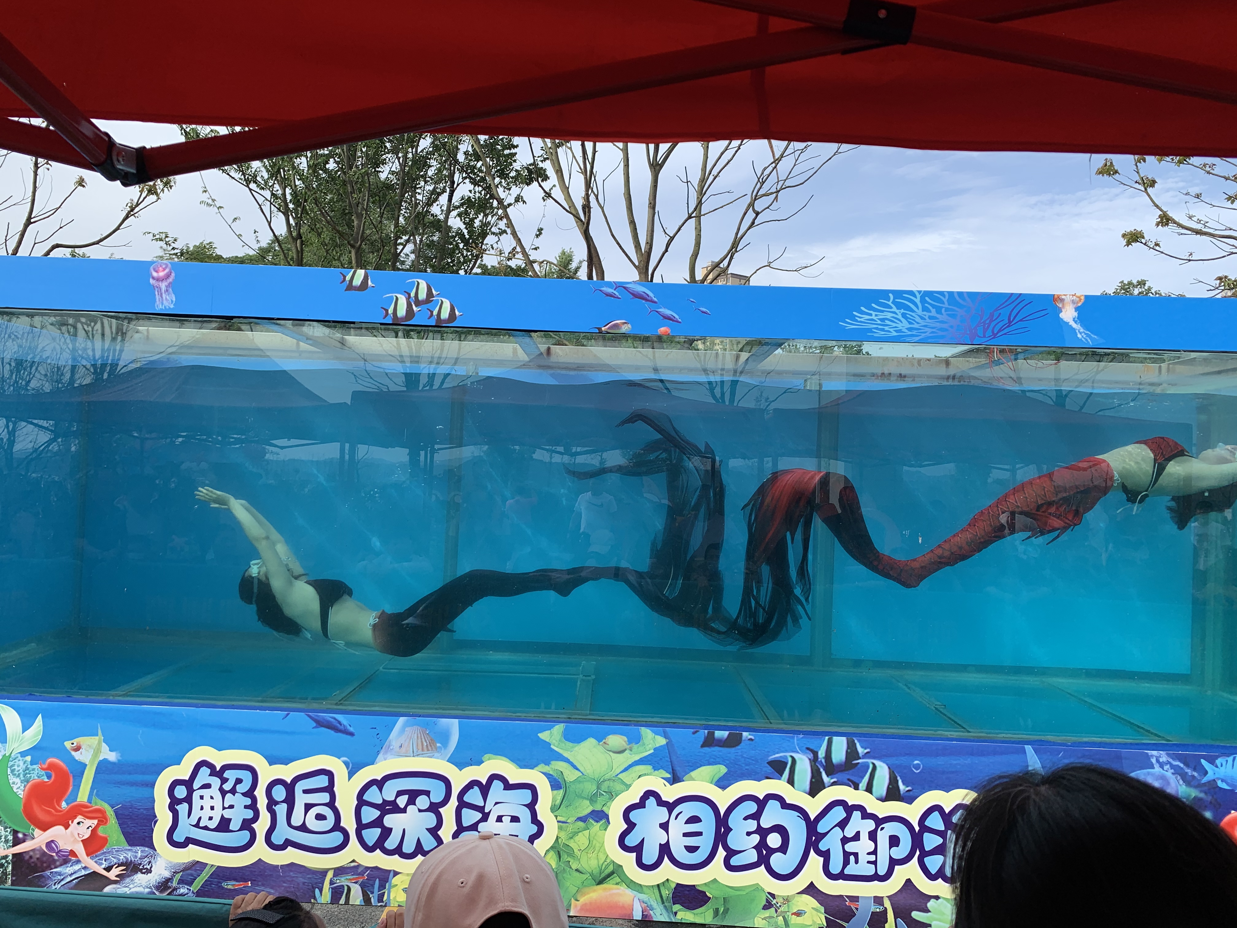美人鱼表演 梦幻海洋展
