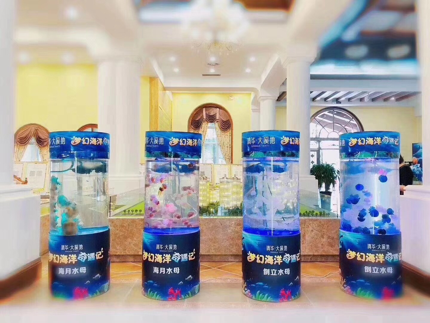 梦幻水母展 水母展 海洋主题展