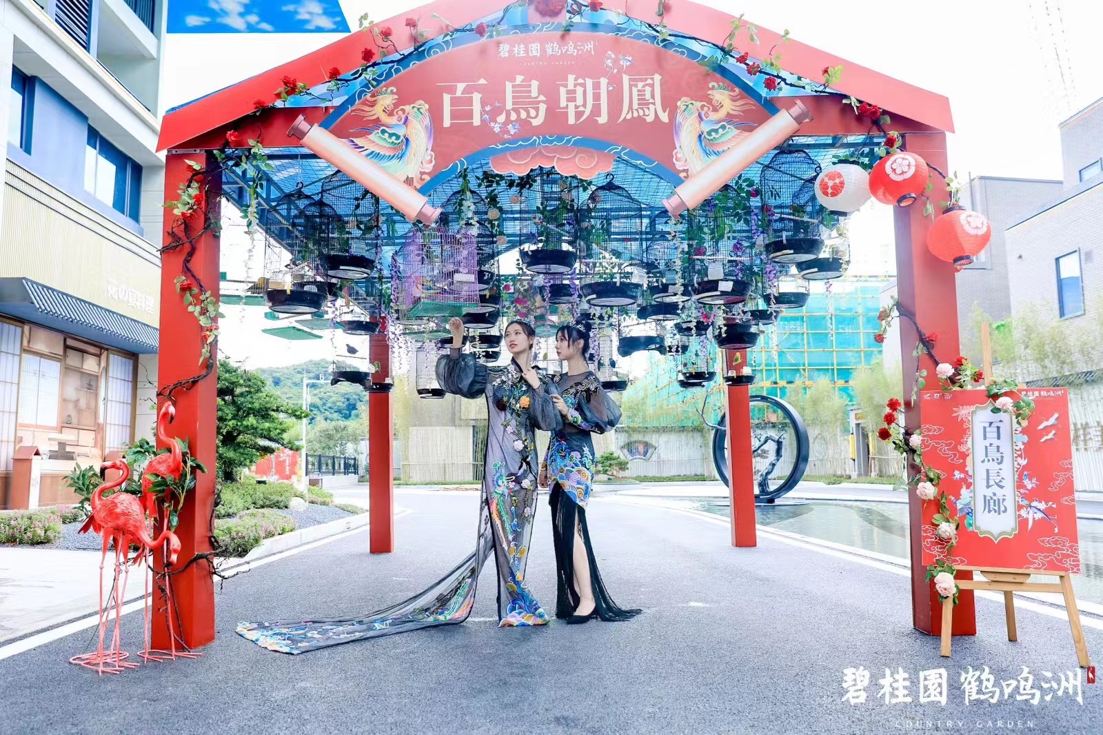 百鸟展 鹦鹉表演 百鸟朝凤