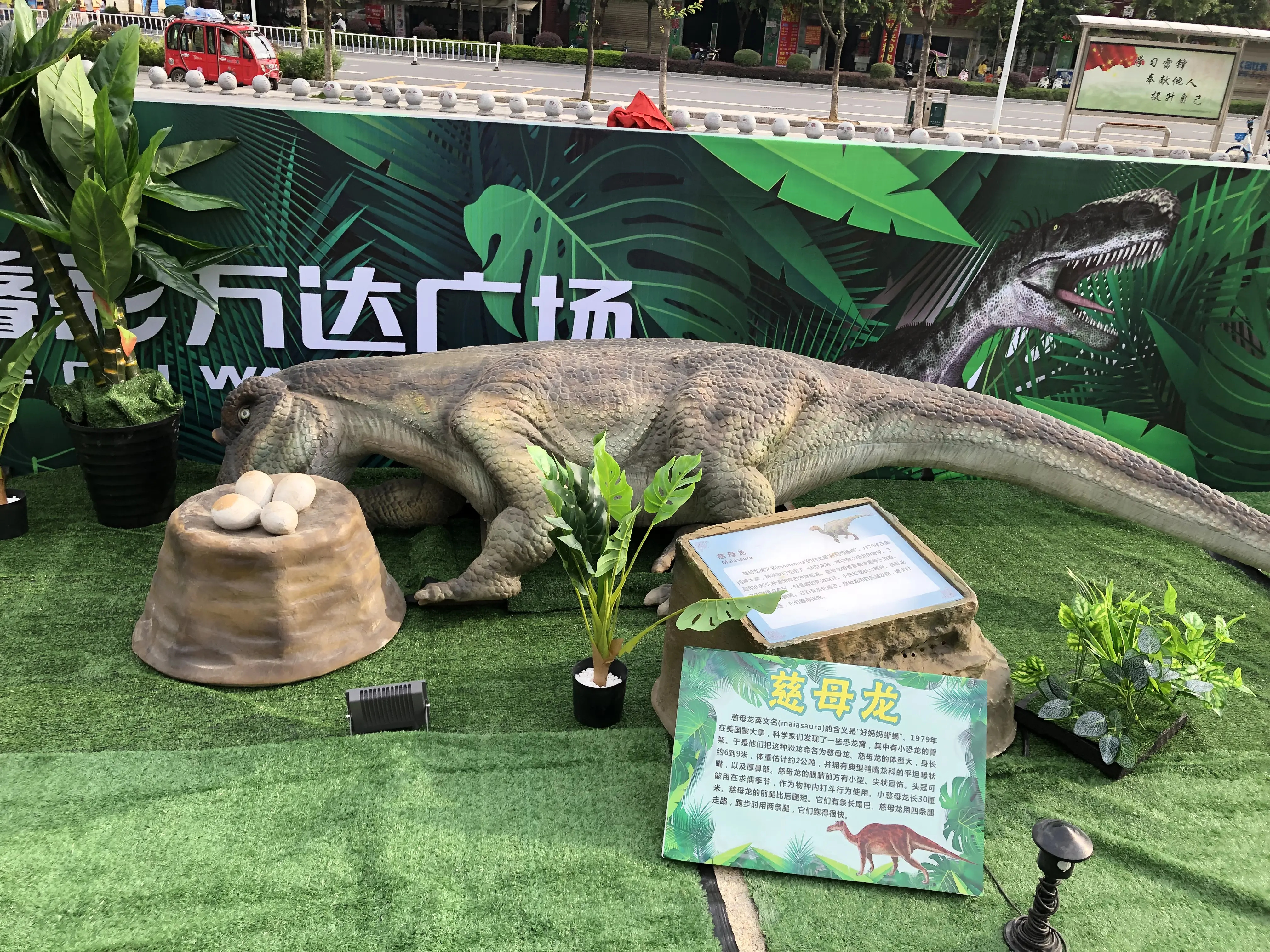 五一恐龙亲子乐园 恐龙知识科普展 仿真恐龙展出租出售