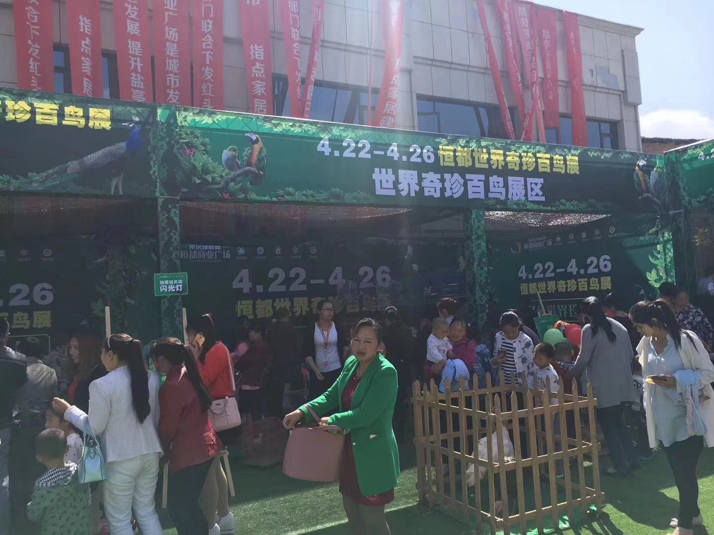 百鸟展