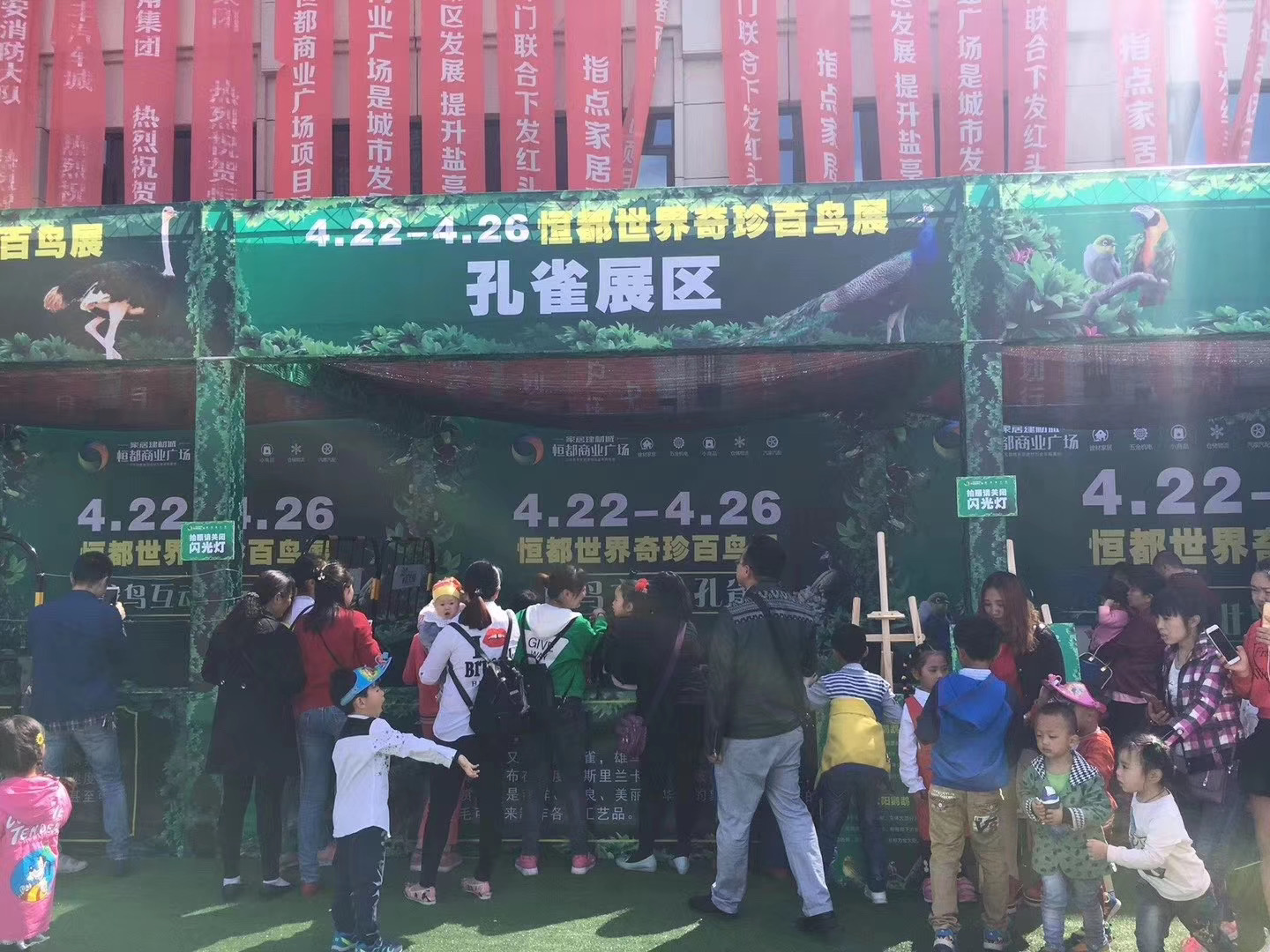 百鸟展