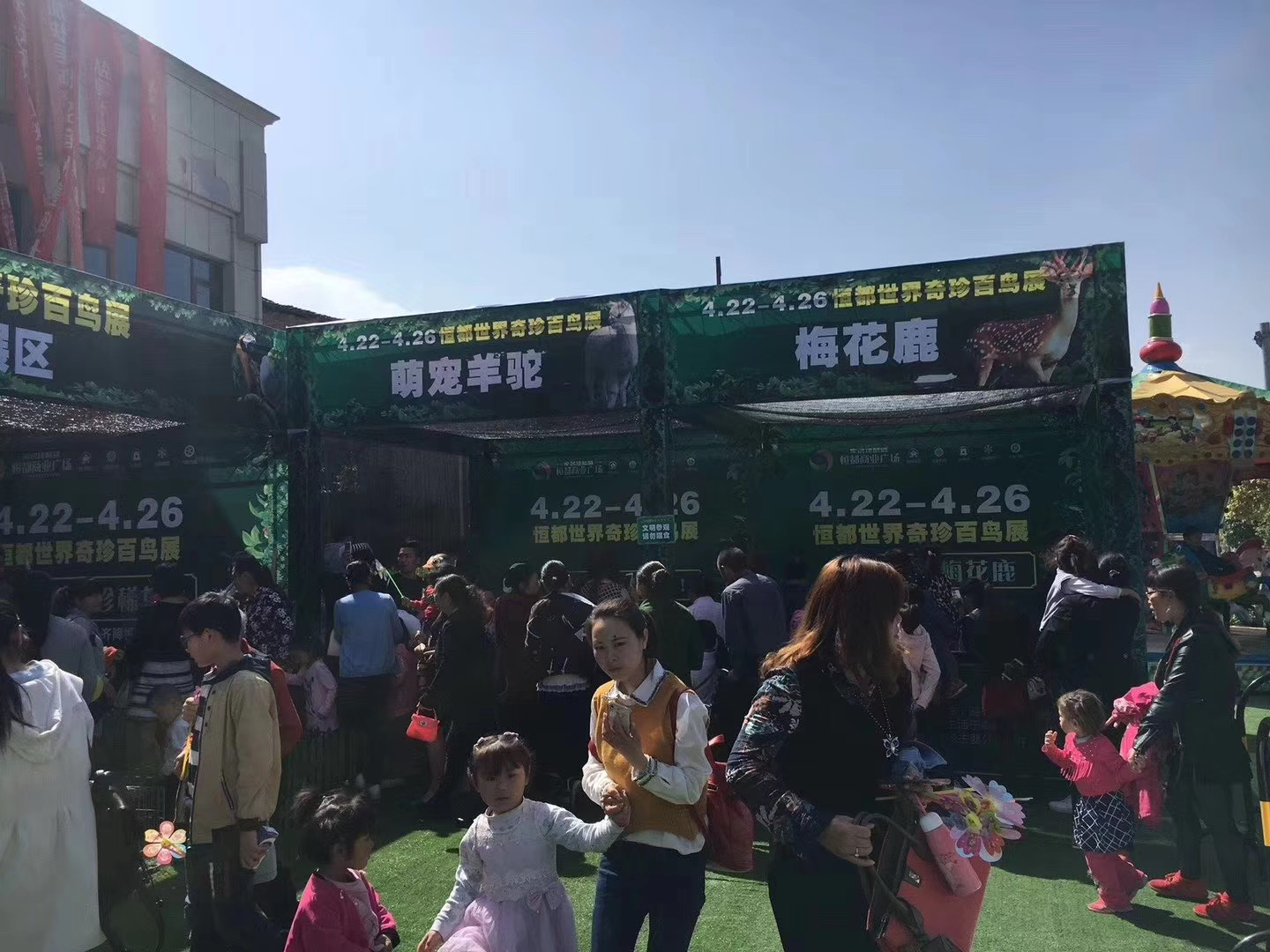 百鸟展