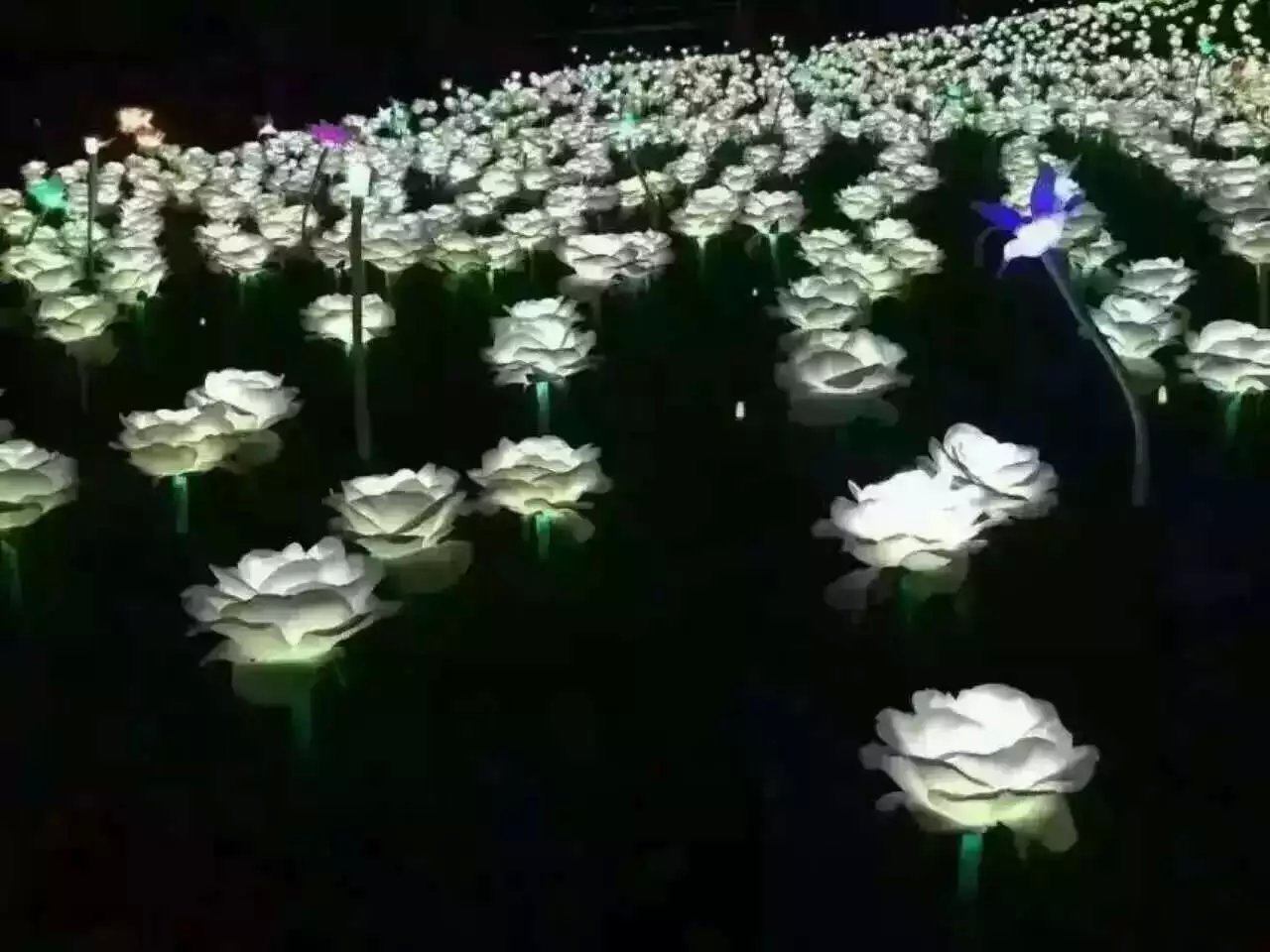插地仿真花 仿真玫瑰花 郁金香互动装置