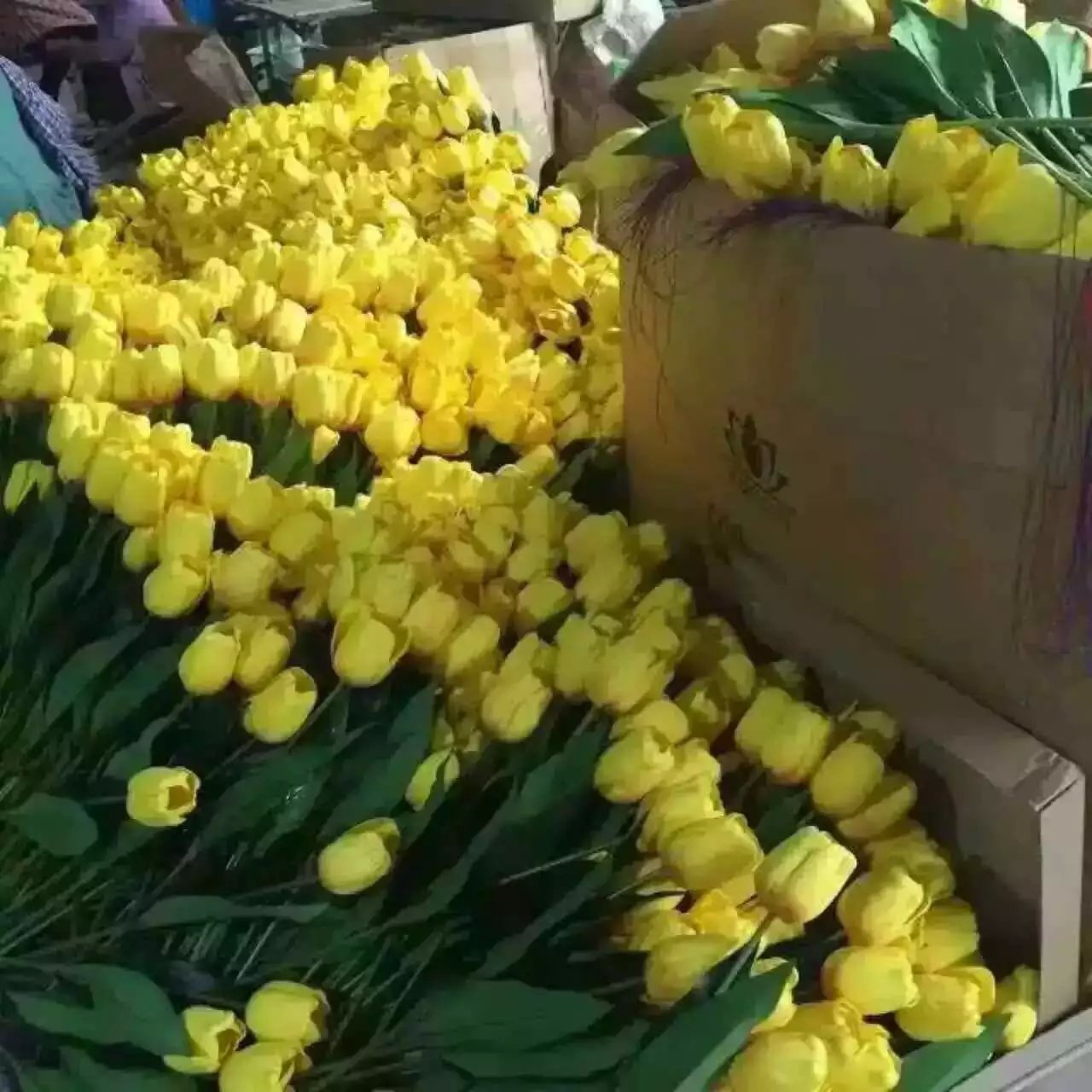 插地仿真花 仿真玫瑰花 郁金香互动装置