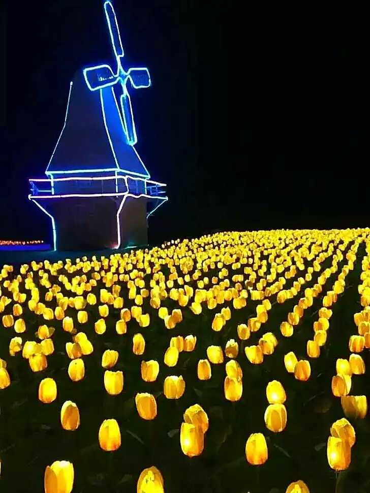 插地仿真<font style="color: #FF8F00 !important;">花</font> 仿真<font style="color: #FF8F00 !important;">玫瑰花</font> 郁金香互动装置