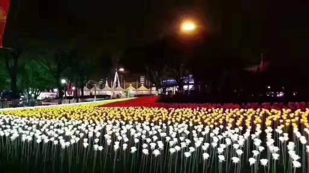 插地仿真花 仿真玫瑰花 郁金香互动装置