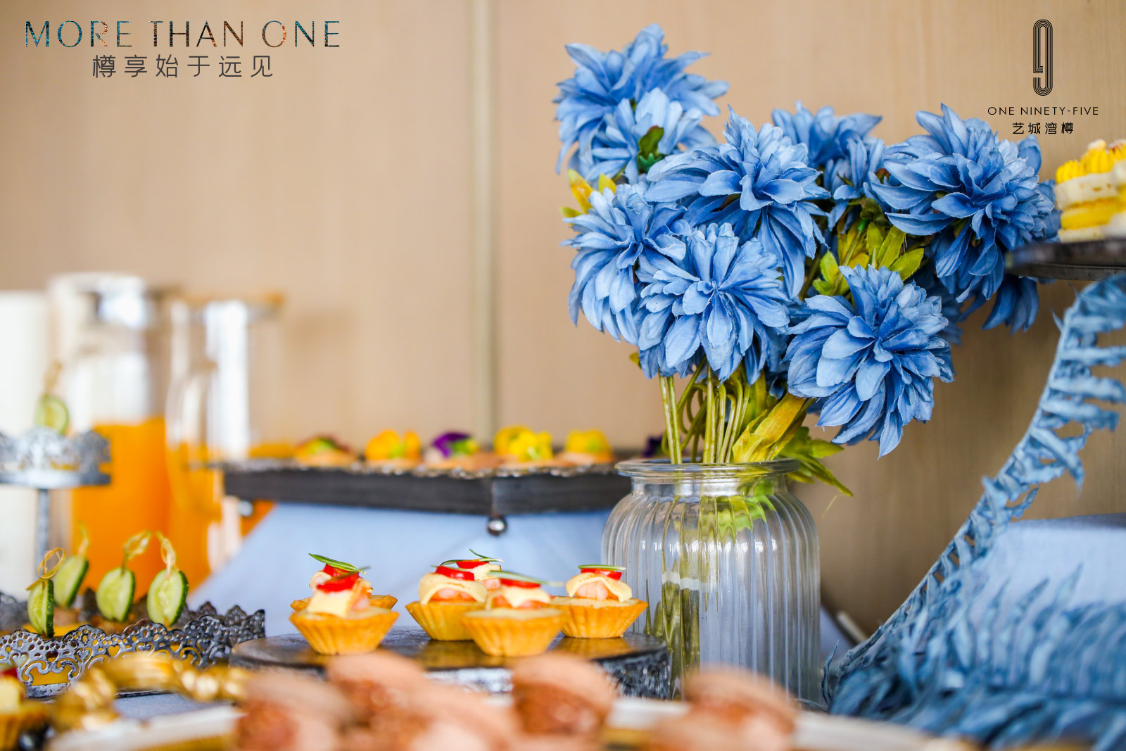 森品广告——豪宅楼盘新品发布会