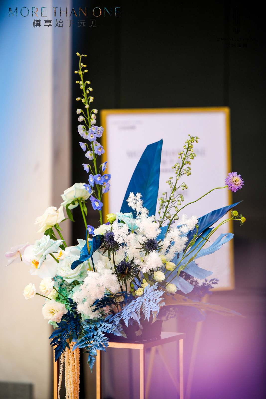 森品广告——豪宅楼盘新品发布会