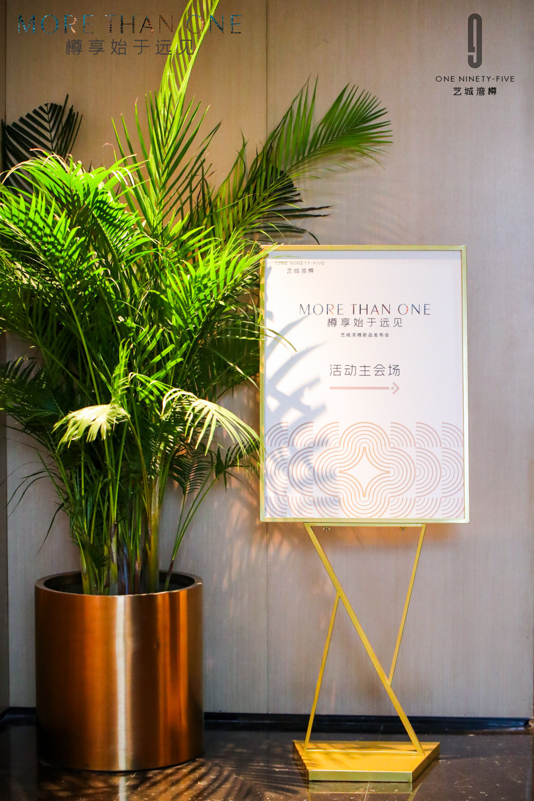 森品广告——豪宅楼盘新品发布会