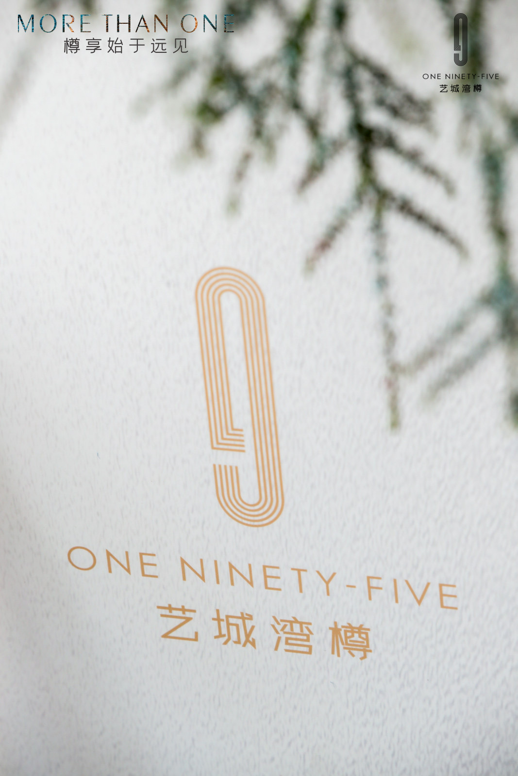 森品广告——豪宅楼盘新品发布会