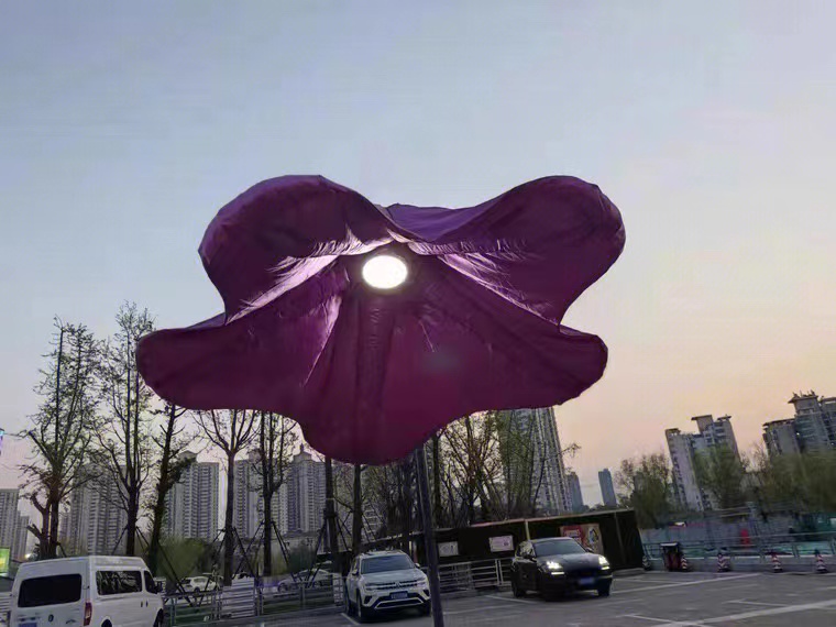 网红感应牵牛花  自动开合灯光花朵