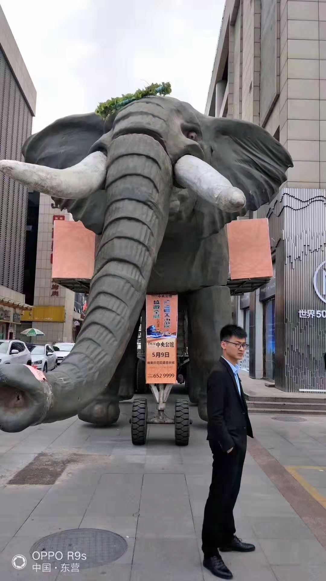 机械大象巡游机械大象大象全国租赁
