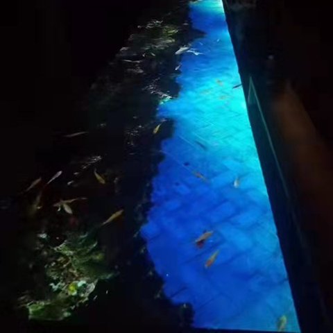 户外地面投影出租 夜游内容定制开发 设备安装