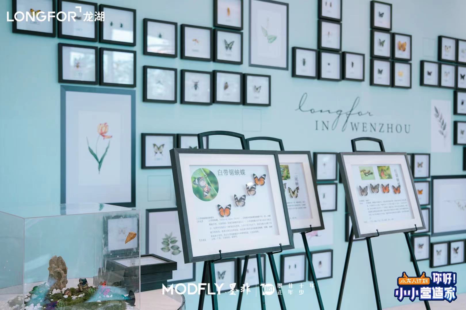 <font style="color: #FF8F00 !important;">昆虫展</font>蝴蝶<font style="color: #FF8F00 !important;">展</font>标本活体