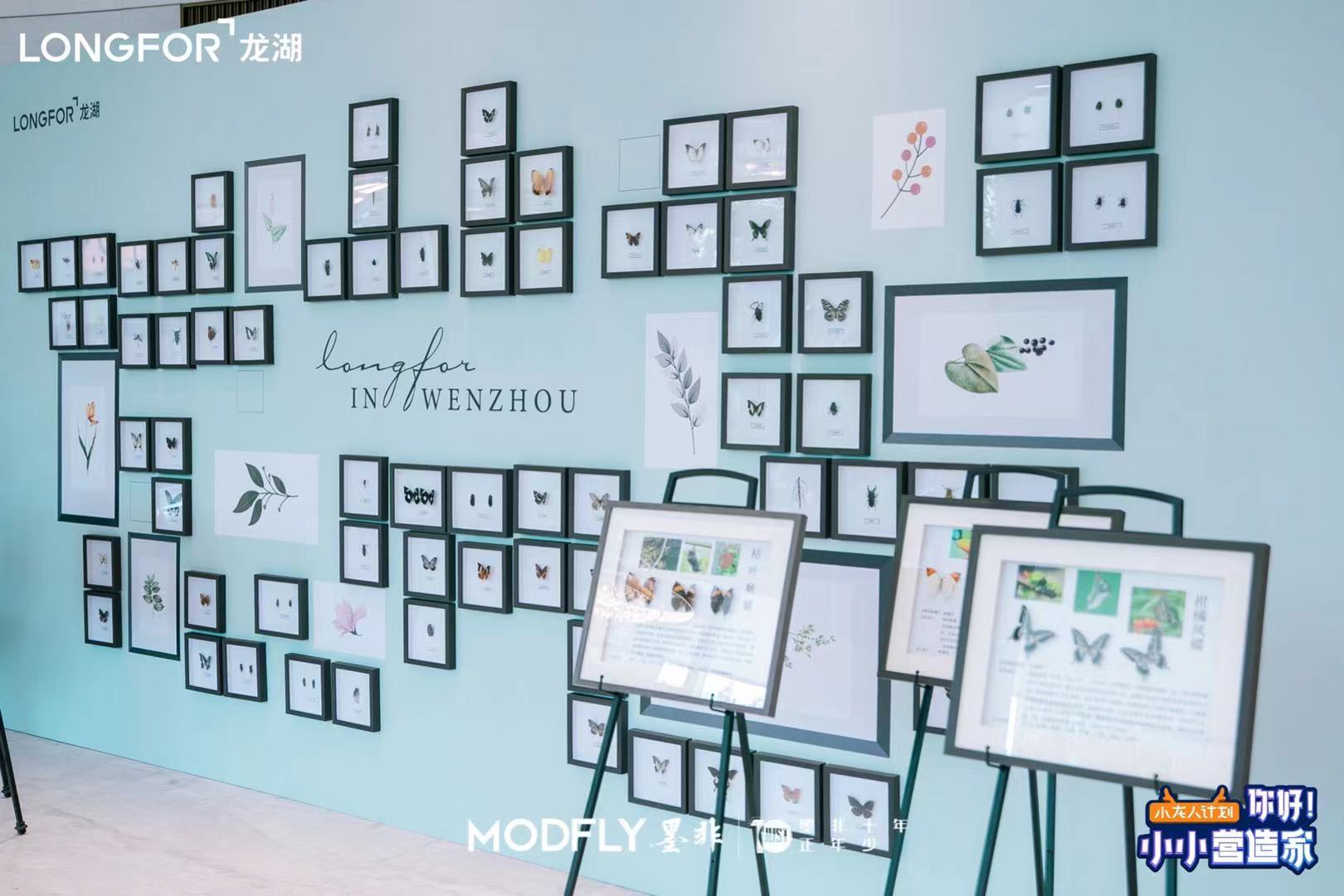 昆虫展蝴蝶展标本活体