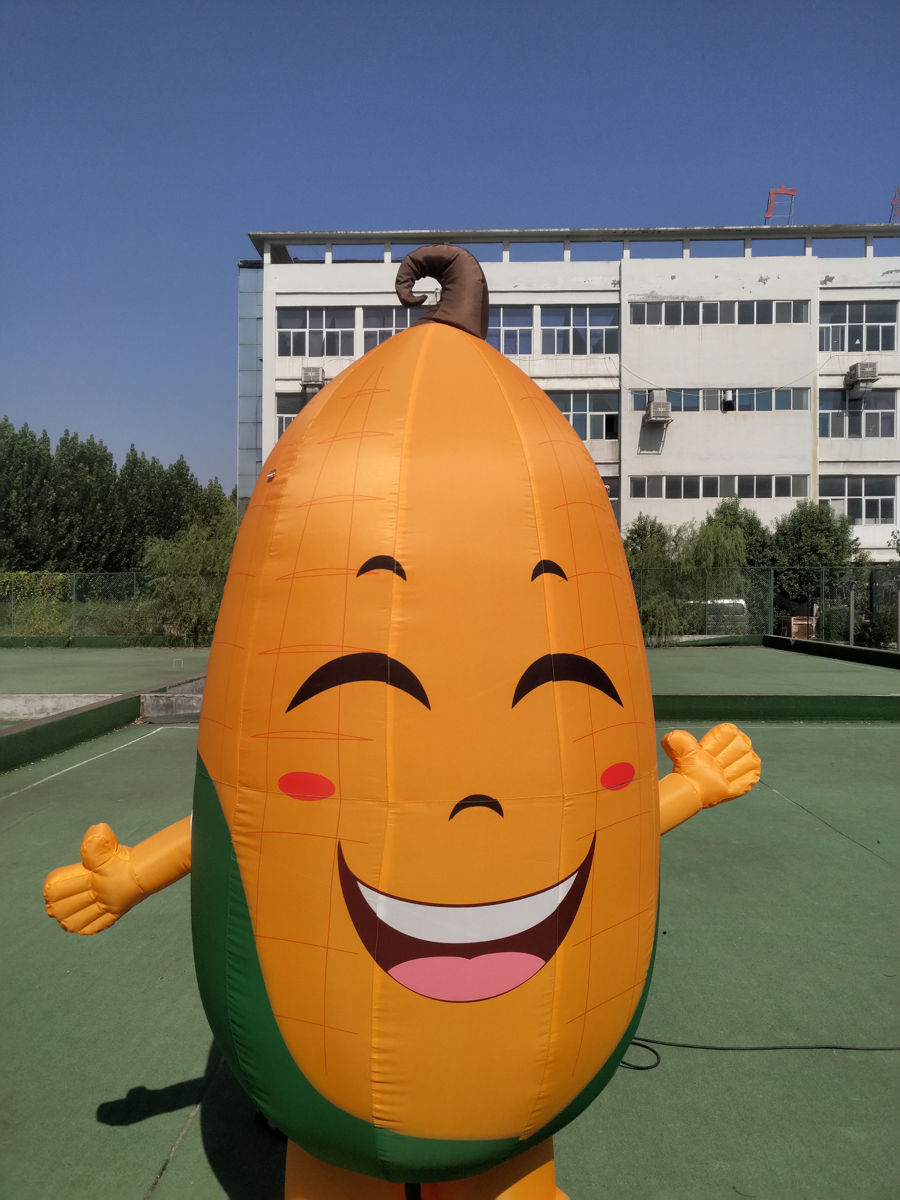 定制充气卡通蔬菜水果气模西瓜蘑菇行走人偶模型农场广告活动宣传