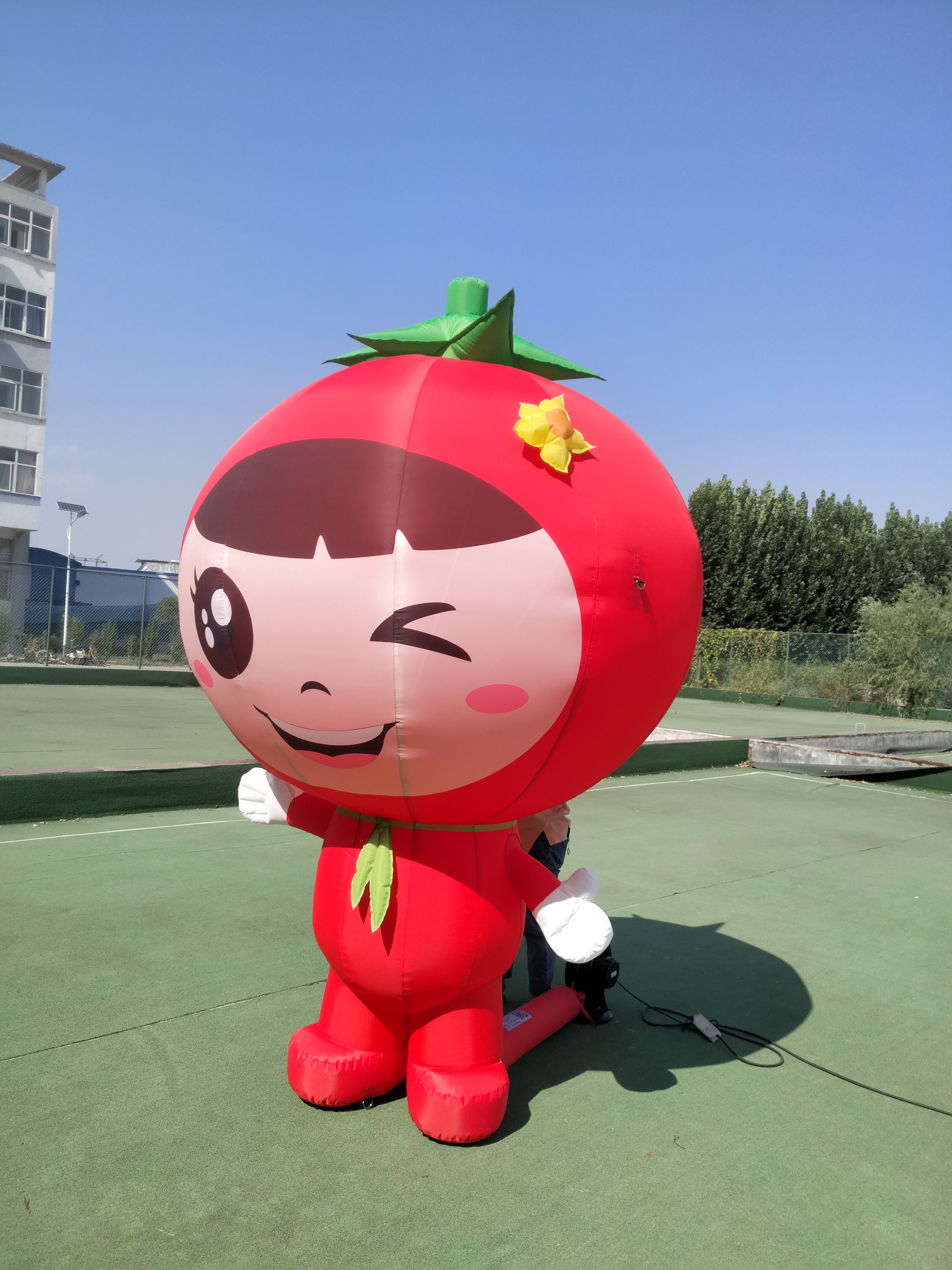 定制充气卡通蔬菜水果气模西瓜蘑菇行走人偶模型农场广告活动宣传