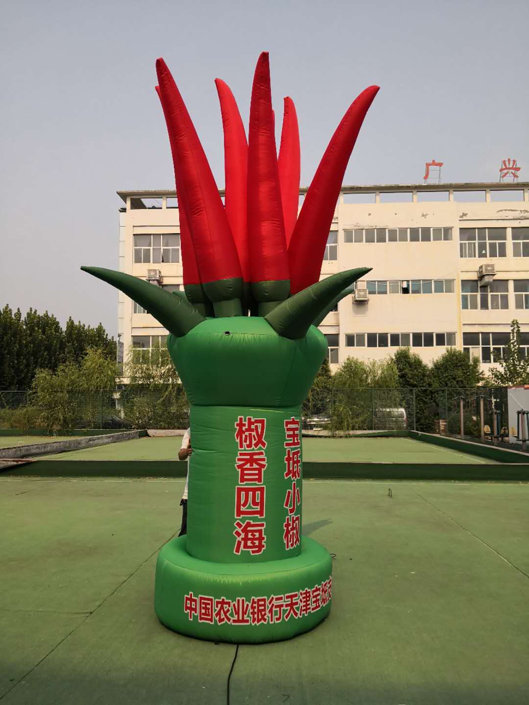 定制充气卡通蔬菜水果气模西瓜蘑菇行走人偶模型农场广告活动宣传