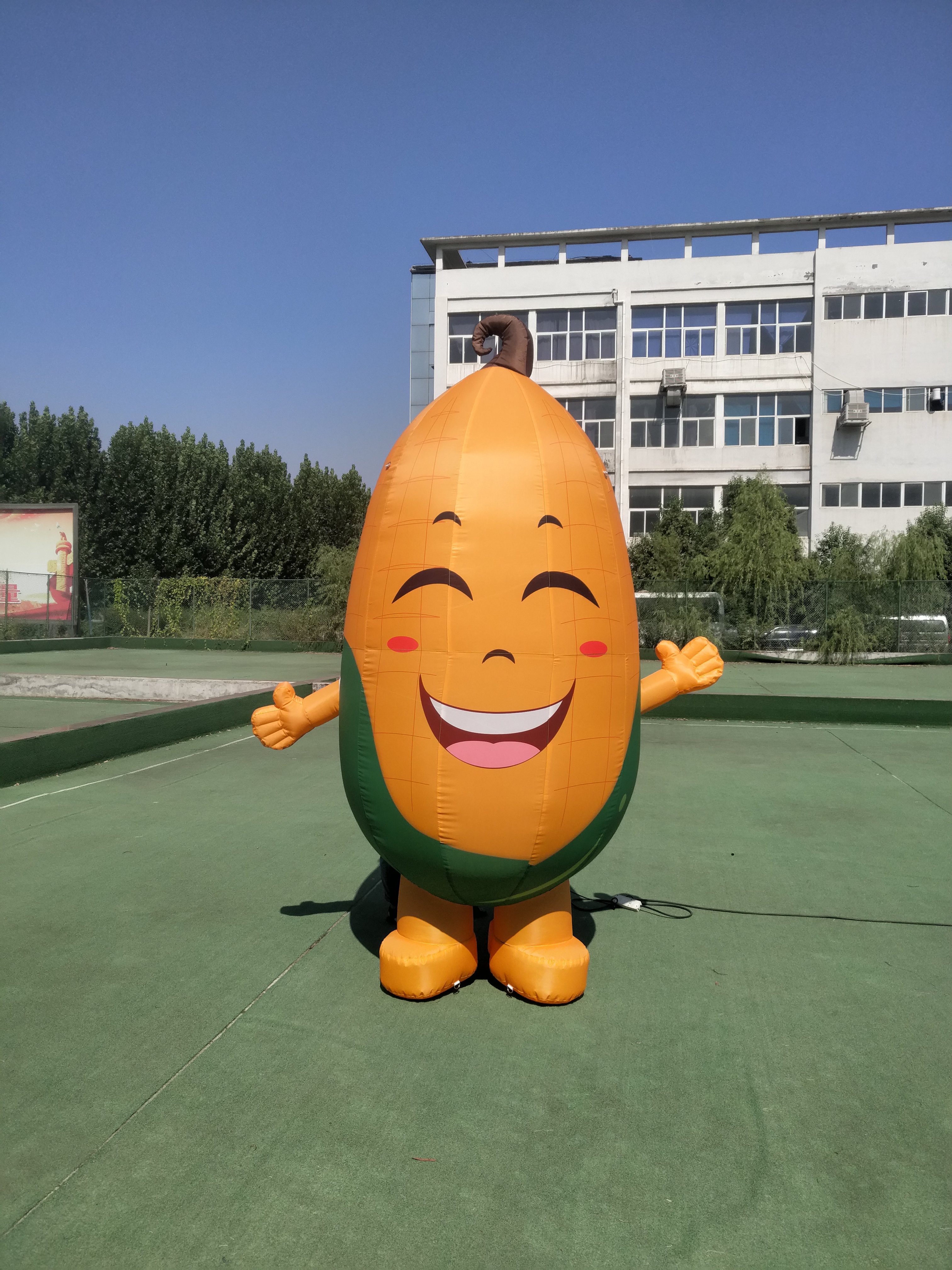 定制充气卡通蔬菜水果气模西瓜蘑菇行走人偶模型农场广告活动宣传