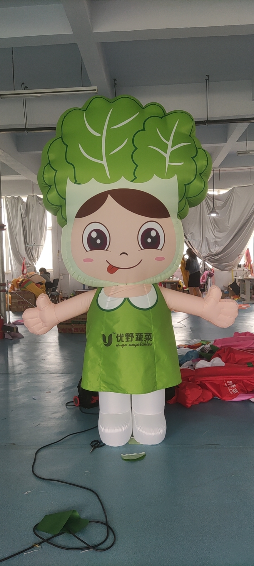 定制充气卡通蔬菜水果气模西瓜蘑菇行走人偶模型农场广告活动宣传