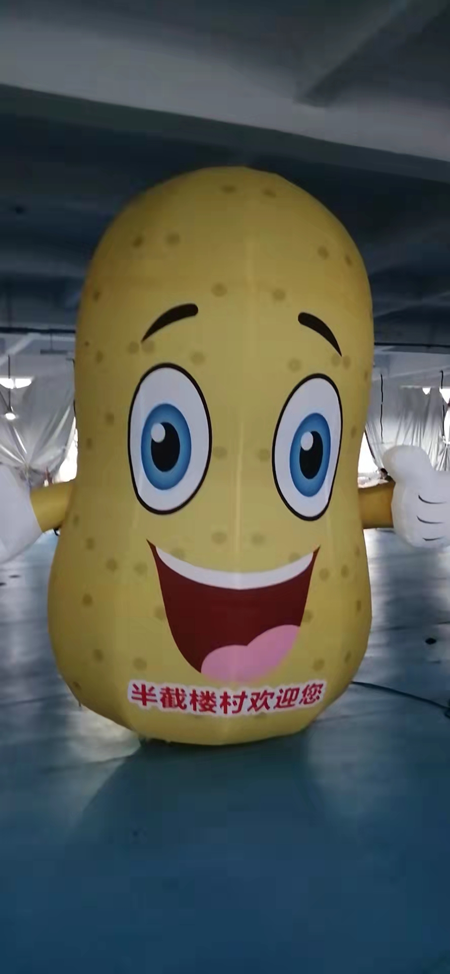 定制充气卡通蔬菜水果气模西瓜蘑菇行走人偶模型农场广告活动宣传