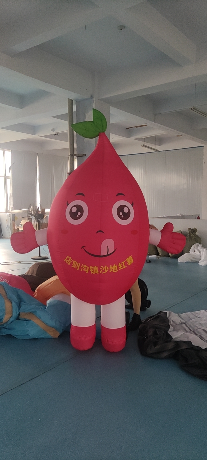 定制充气卡通蔬菜水果气模西瓜蘑菇行走人偶模型农场广告活动宣传