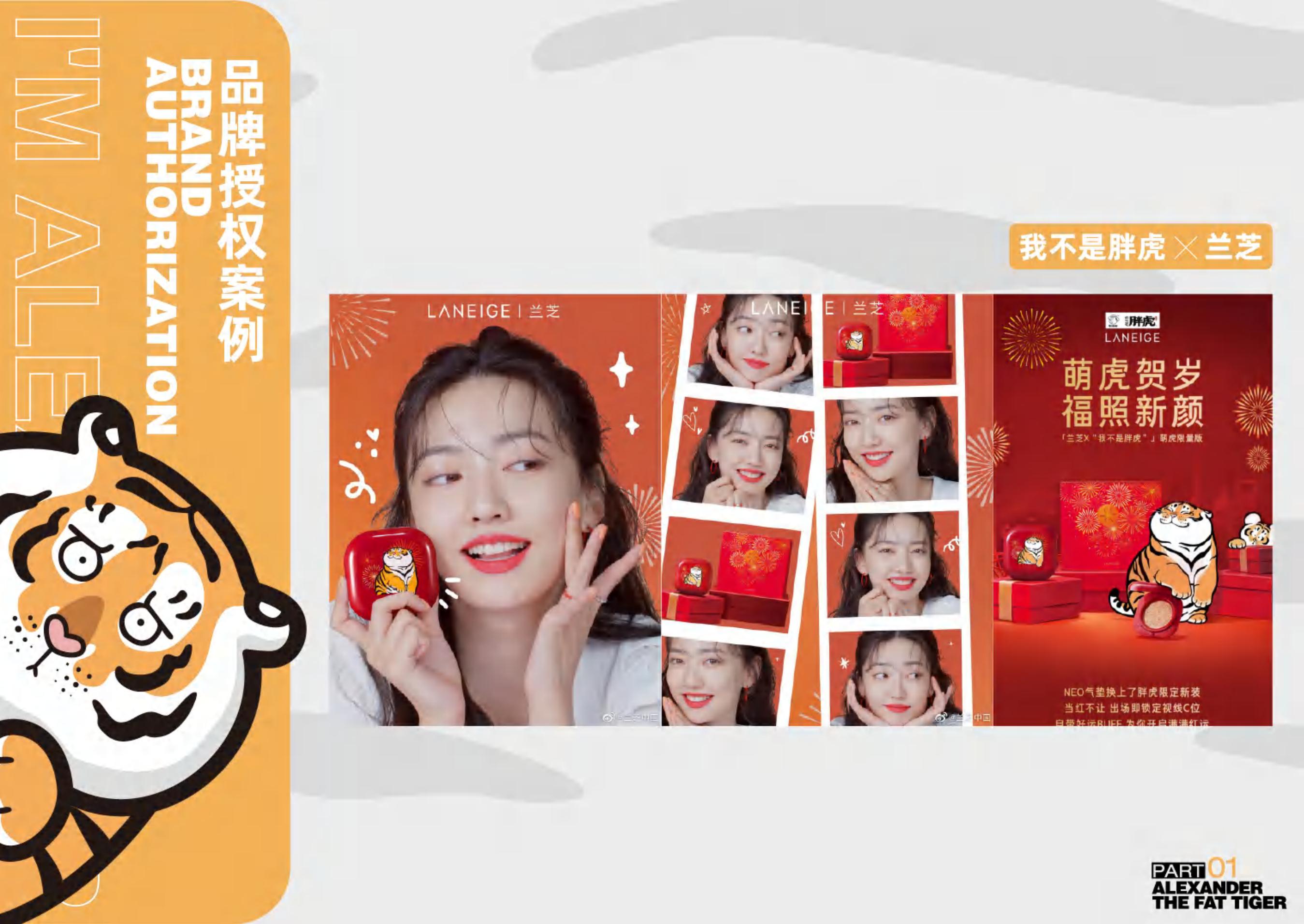 胖虎 - IP授权