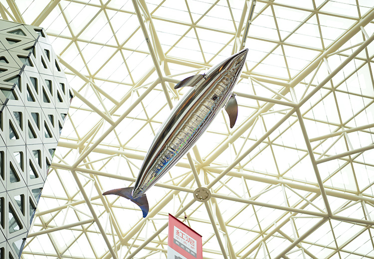空飘气模——海豚系列