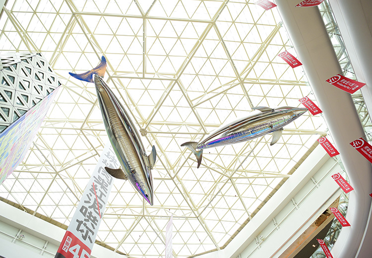 空飘气模——海豚系列