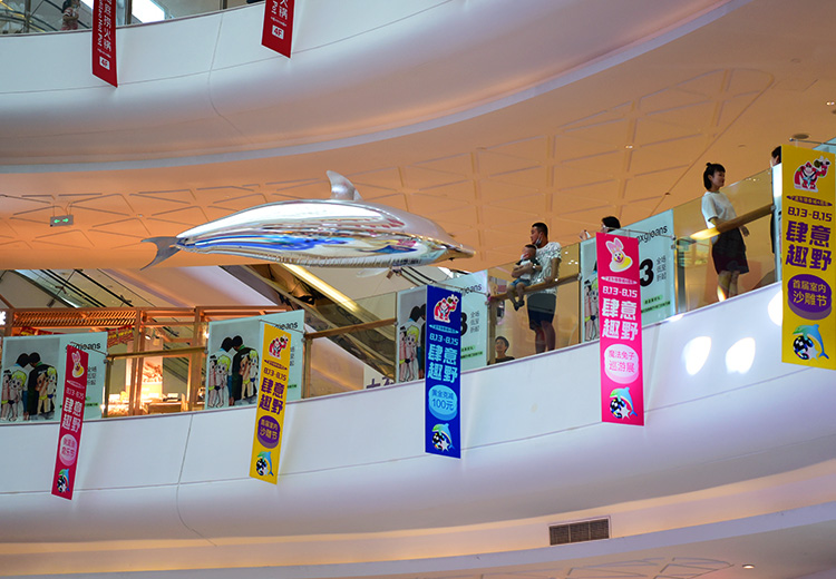 空飘气模——海豚系列