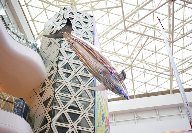 空飘气模——海豚系列