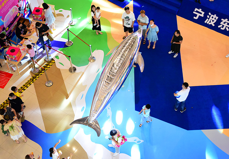 空飘气模——海豚系列
