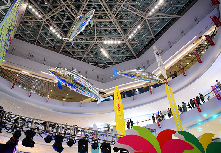 空飘气模——海豚系列