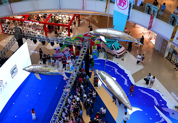 空飘气模——海豚系列